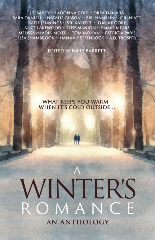 Cover of the book A Winter's Romance by Patricia Paris, Elise Manion, Sara Daniell, D.M. Kilgore, Drea Damara, BHC Press