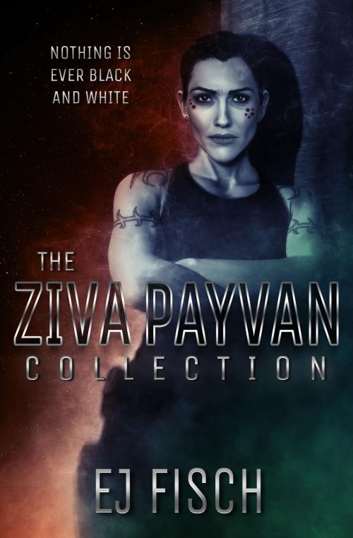 Cover of the book The Ziva Payvan Collection by EJ Fisch, Transcendence Publishing