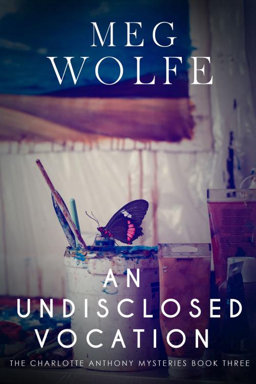 Cover of the book An Undisclosed Vocation by Meg Wolfe, Wolfe Johnson Inc