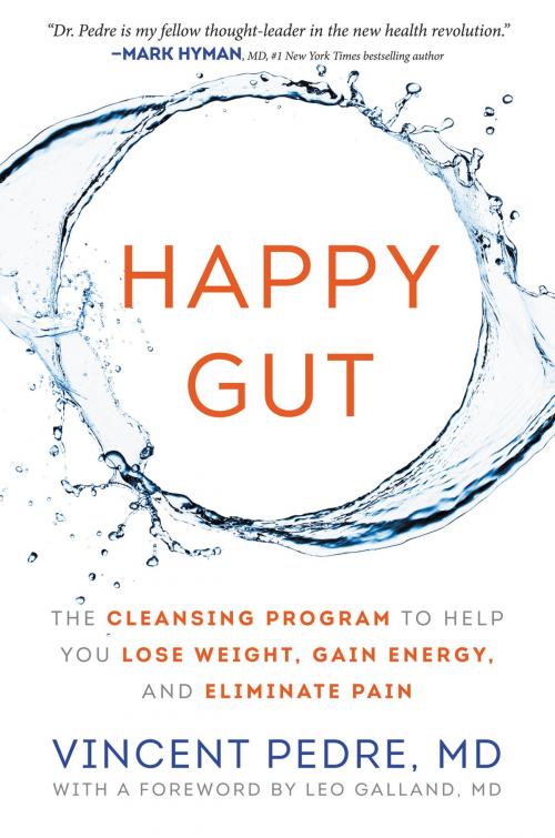 Cover of the book Happy Gut by Vincent Pedre, William Morrow