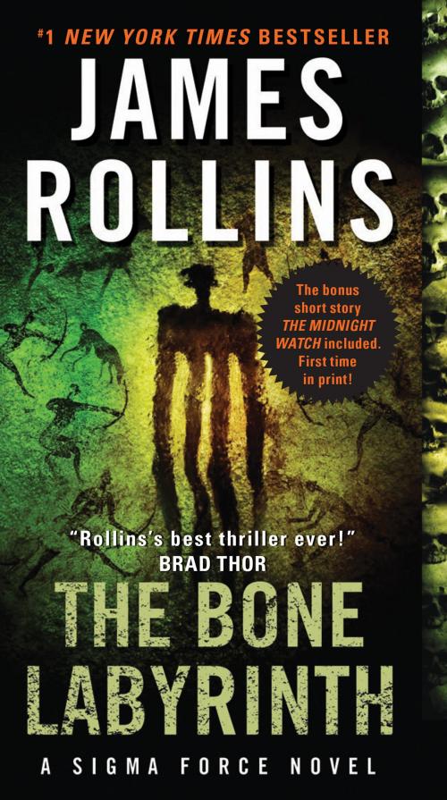 Cover of the book The Bone Labyrinth by James Rollins, William Morrow