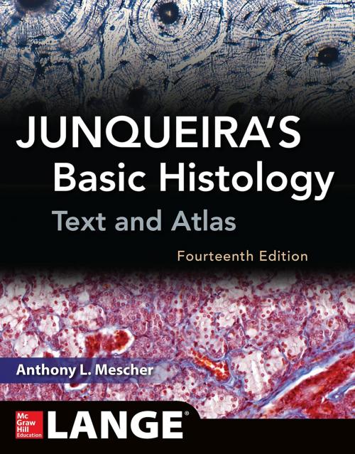 Cover of the book JUNQUEIRAS BASIC HISTOLOGY 14E by Anthony Mescher, McGraw-Hill Education