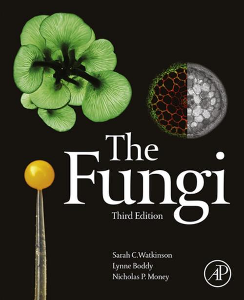 Cover of the book The Fungi by Sarah C. Watkinson, Lynne Boddy, Nicholas Money, Elsevier Science