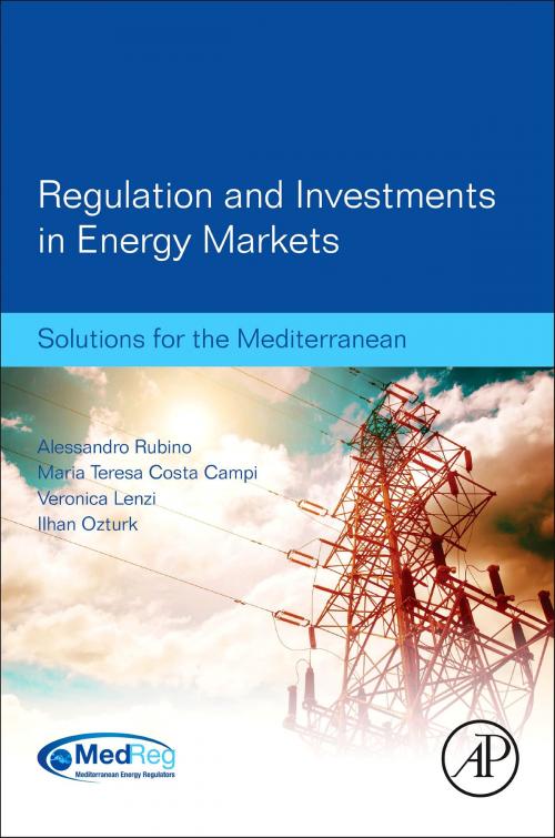 Cover of the book Regulation and Investments in Energy Markets by , Elsevier Science