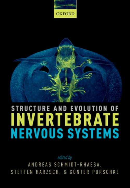 Cover of the book Structure and Evolution of Invertebrate Nervous Systems by Andreas Schmidt-Rhaesa, Steffen Harzsch, Günter Purschke, OUP Oxford