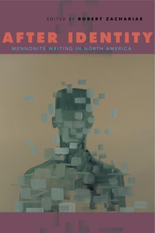 Cover of the book After Identity by , Penn State University Press