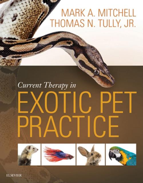 Cover of the book Current Therapy in Exotic Pet Practice - E-Book by Mark Mitchell, DVM, MS, PhD, DECZM, Thomas N. Tully Jr., DVM, MS, DABVP (Avian), DECZM (Avian), Elsevier Health Sciences