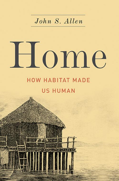 Cover of the book Home by John S. Allen, Basic Books