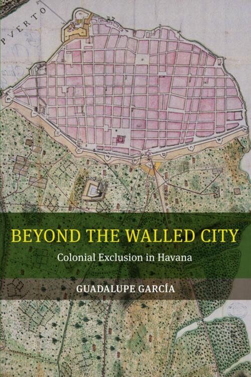 Cover of the book Beyond the Walled City by Guadalupe Garcia, University of California Press