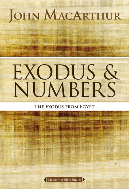 Cover of the book Exodus and Numbers by John F. MacArthur, Thomas Nelson