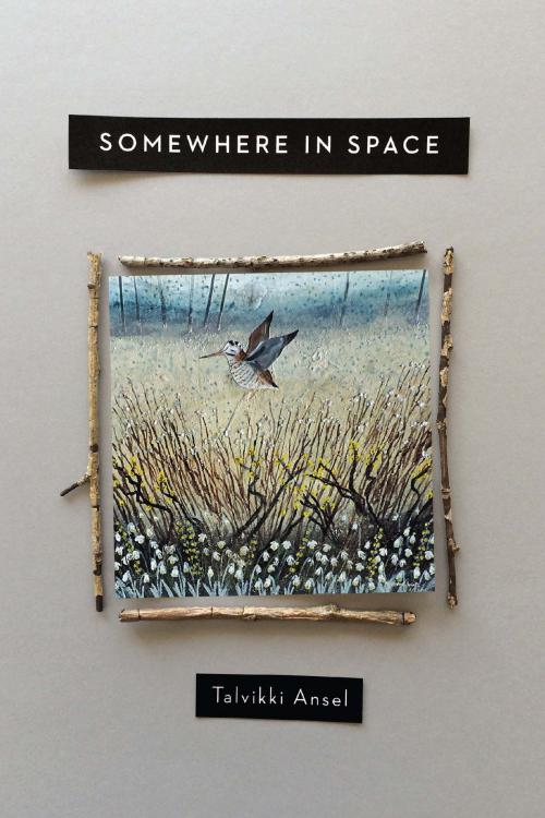 Cover of the book Somewhere in Space by Talvikki Ansel, Ohio State University Press