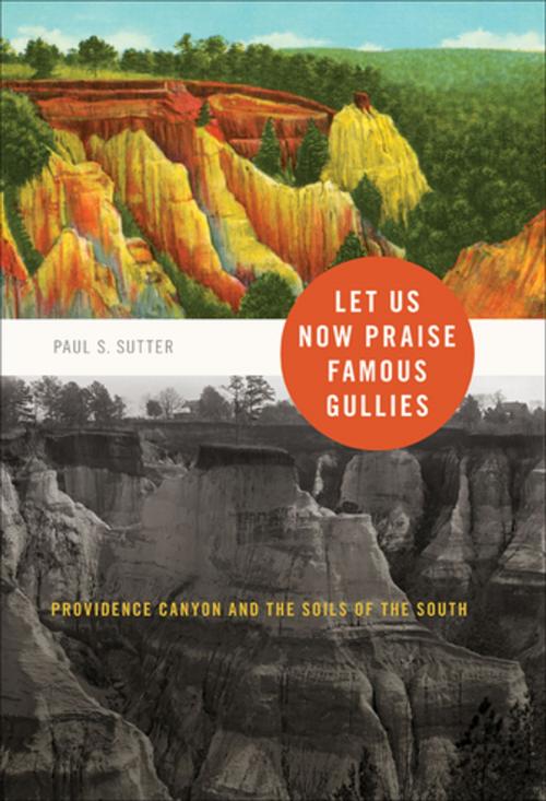 Cover of the book Let Us Now Praise Famous Gullies by Paul S. Sutter, University of Georgia Press