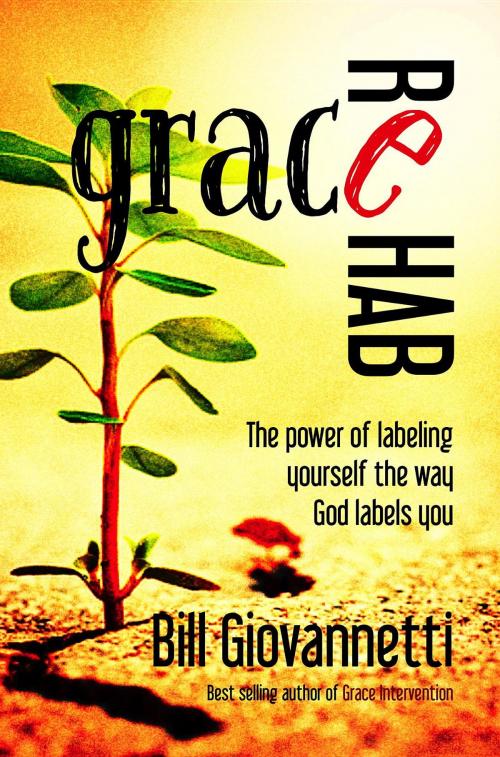 Cover of the book Grace Rehab by Bill Giovannetti, Endurant Press