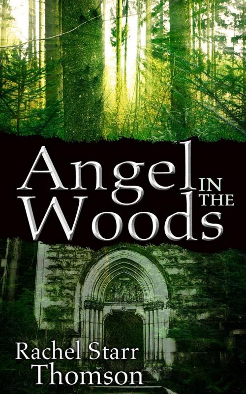 Cover of the book Angel in the Woods by Rachel Starr Thomson, Little Dozen Press