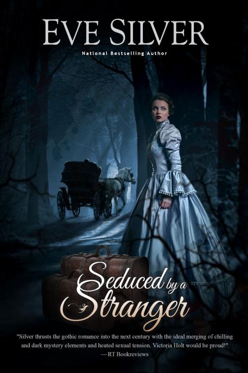 Cover of the book Seduced by a Stranger by Eve Silver, Eve Silver