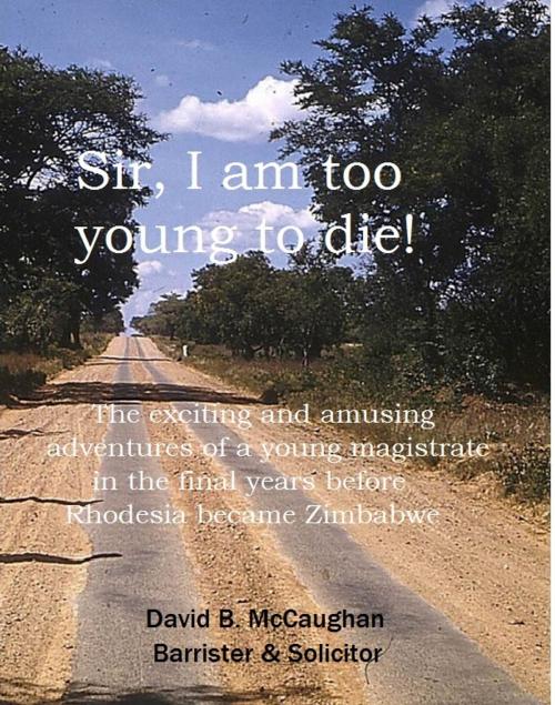 Cover of the book Sir, I am too young to die! by David McCaughan, McCaughan Publishing