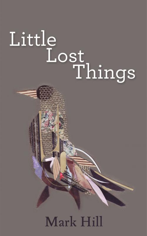 Cover of the book Little Lost Things by Mark Hill, Mark Hill