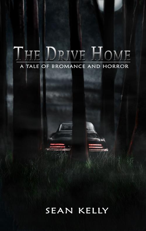 Cover of the book The Drive Home by Sean Kelly, Emerald Inkwell, LLC
