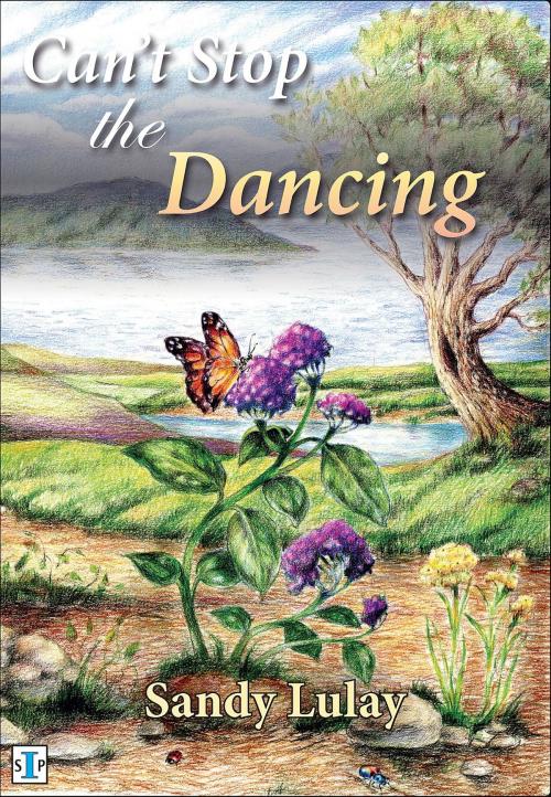 Cover of the book Can't Stop the Dancing by Sandy Lulay, Sandy Lulay