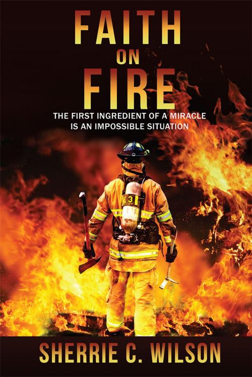 Cover of the book Faith on Fire: The First Ingredient of a Miracle is an Impossible Situation by Sherrie C. Wilson, Redemption Press