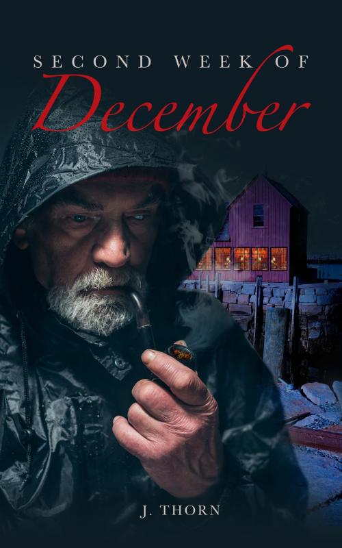 Cover of the book Second Week Of December by Jan Thorn, Jan Thorn