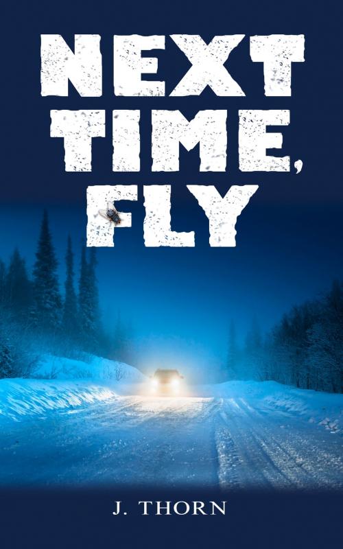 Cover of the book Next Time, Fly by Jan Thorn, Jan Thorn