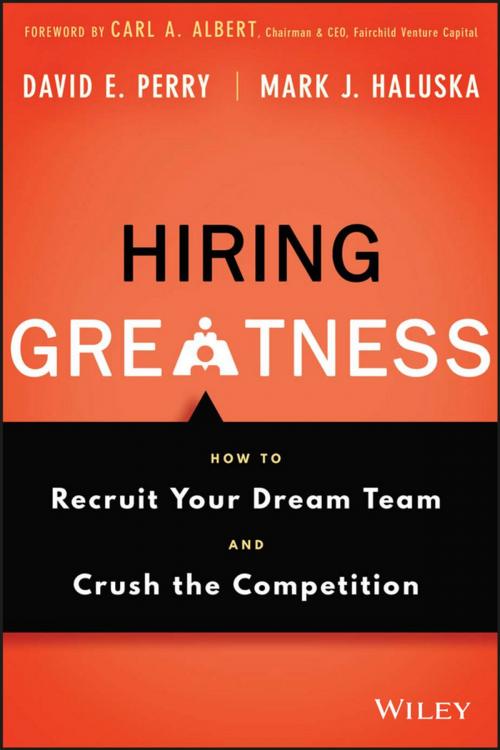 Cover of the book Hiring Greatness by David E. Perry, Mark J. Haluska, Wiley