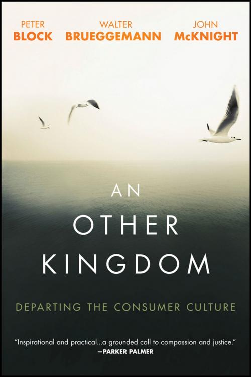 Cover of the book An Other Kingdom by Peter Block, Walter Brueggemann, John McKnight, Wiley