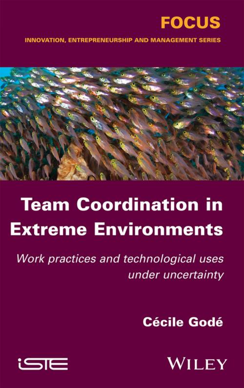 Cover of the book Team Coordination in Extreme Environments by Cécile Godé, Wiley