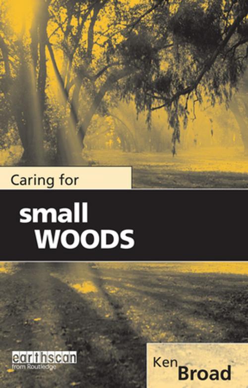 Cover of the book Caring for Small Woods by Ken Broad, Taylor and Francis