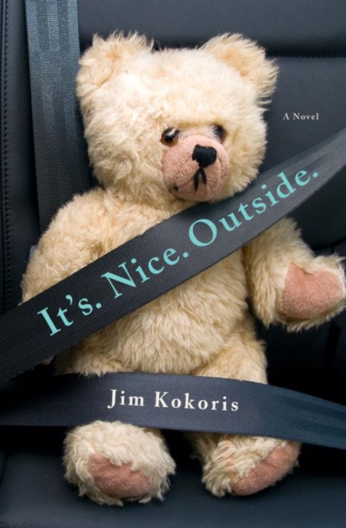Cover of the book It's. Nice. Outside. by Jim Kokoris, St. Martin's Press