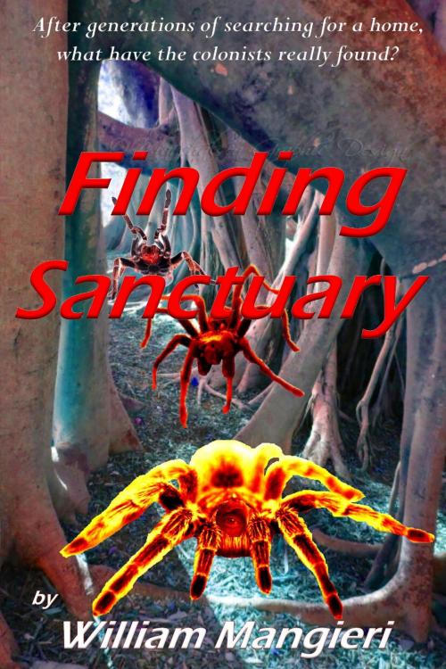 Cover of the book Finding Sanctuary by William Mangieri, William Mangieri