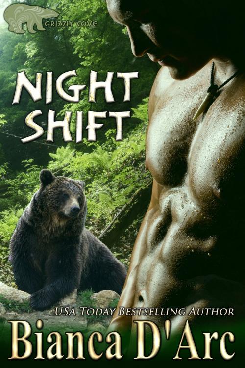 Cover of the book Night Shift by Bianca D'Arc, Hawk Publishing