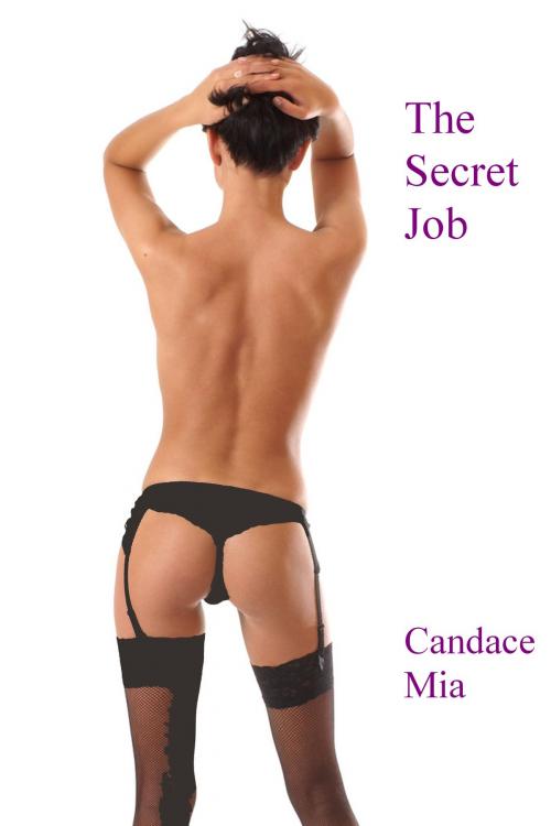 Cover of the book The Secret Job by Candace Mia, Candace Mia