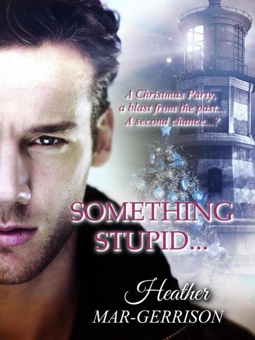 Cover of the book Something Stupid... by Heather Mar-Gerrison, Heather Mar-Gerrison