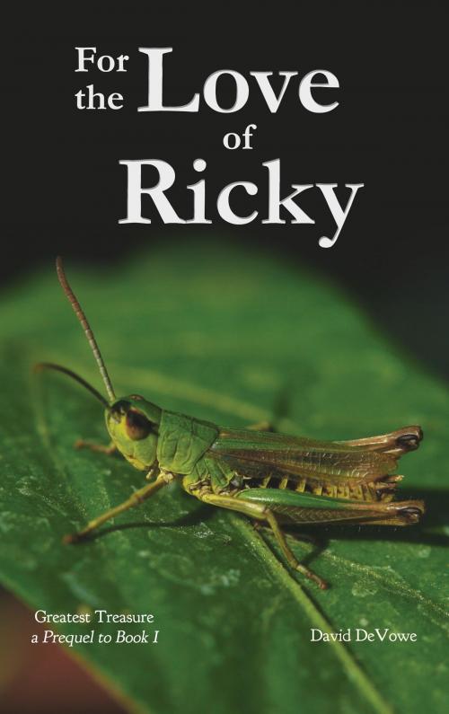 Cover of the book For the Love of Ricky by David DeVowe, David DeVowe