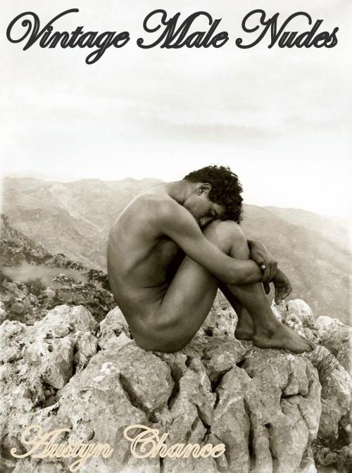 Cover of the book Vintage Male Nudes by Austyn Chance, Austyn Chance