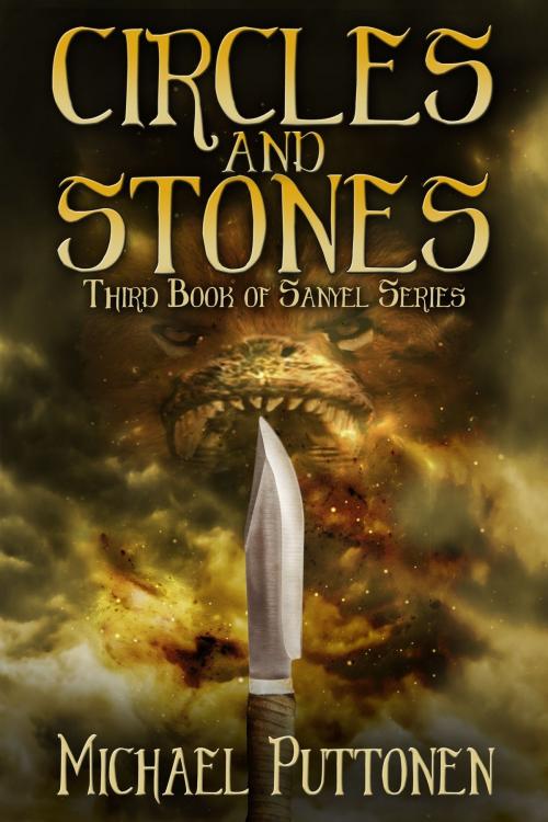 Cover of the book Circles and Stones by Michael Puttonen, Michael Puttonen