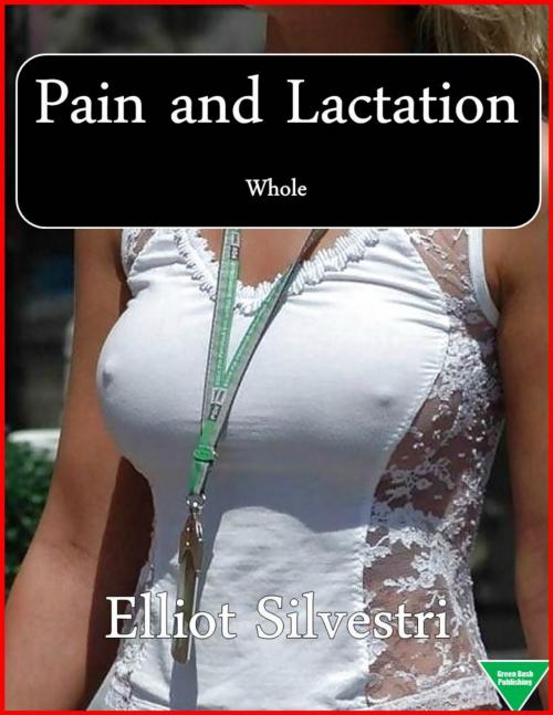 Cover of the book Pain and Lactation by Elliot Silvestri, Elliot Silvestri