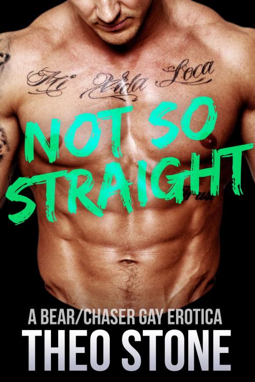 Cover of the book Not So Straight... by Theo Stone, Smoldering Books
