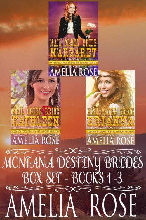 Cover of the book Montana Destiny Brides Box Set: Books 1-3 by Amelia Rose, Gold Crown