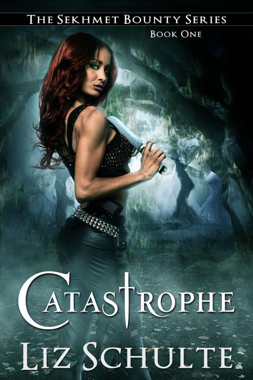 Cover of the book Catastrophe by Liz Schulte, Liz Schulte