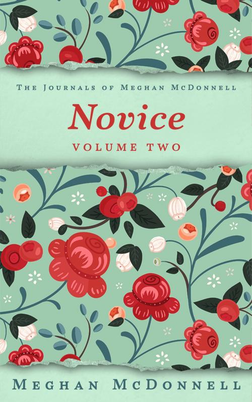 Cover of the book Novice: Volume Two by Meghan McDonnell, Meghan McDonnell