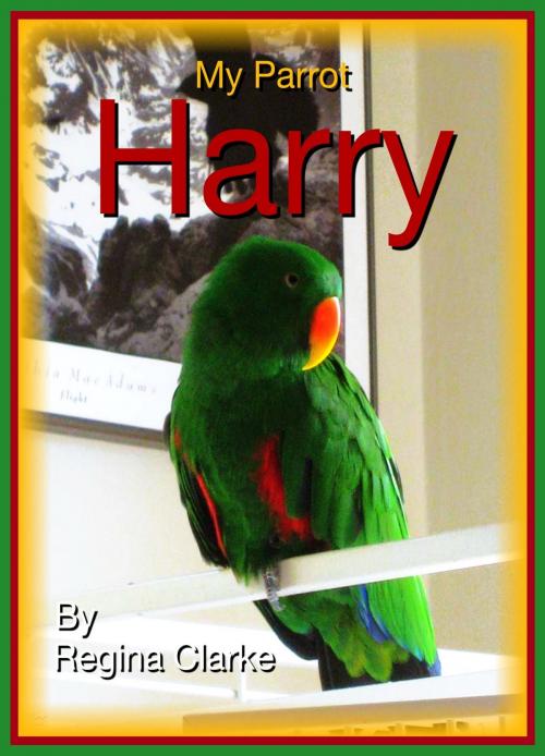 Cover of the book My Parrot Harry by Regina Clarke, Regina Clarke
