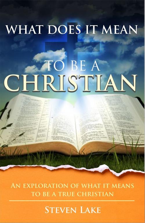 Cover of the book What Does It Mean To Be A Christian? by Steven Lake, Steven Lake