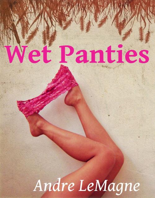 Cover of the book Wet Panties by Andre LeMagne, Andre LeMagne