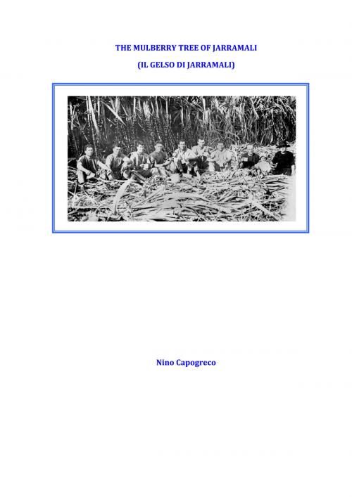 Cover of the book The Mulberry Tree of Jarramali by Nino Capogreco, Nino Capogreco