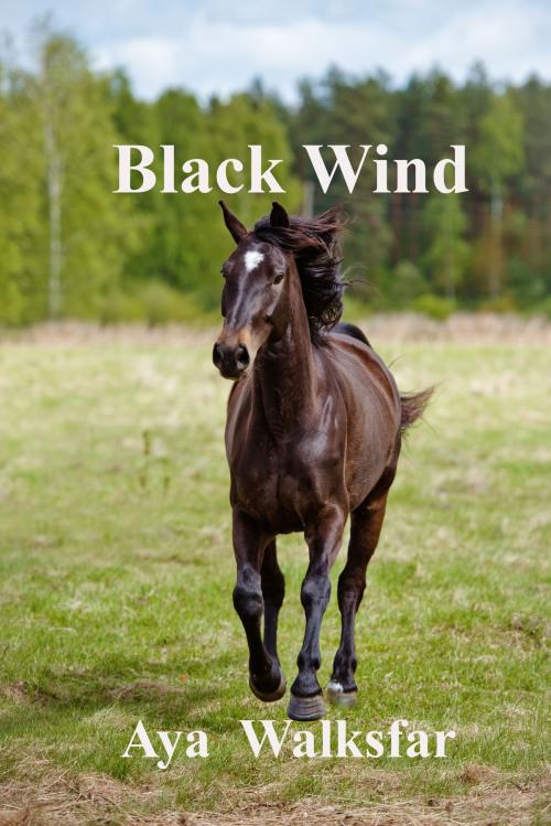 Cover of the book Black Wind by Aya Walksfar, Aya Walksfar