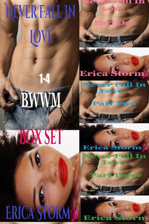 Cover of the book Never Fall In Love (Box Set) by Erica Storm, Erica Storm
