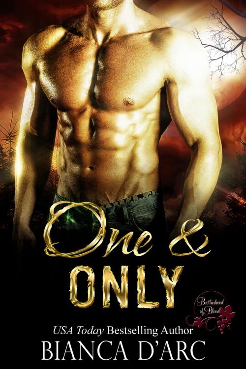 Cover of the book One and Only by Bianca D'Arc, Hawk Publishing